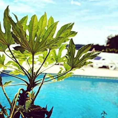 Villa Mas Blau Mar